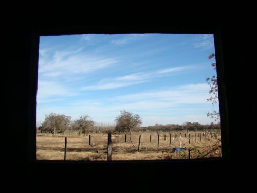 Fotografia de andrea - Galeria Fotografica: ventanas - Foto: 