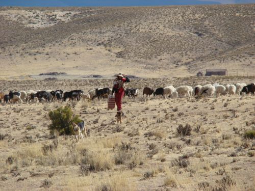 Fotografia de andrea - Galeria Fotografica: norte argentino - Foto: 