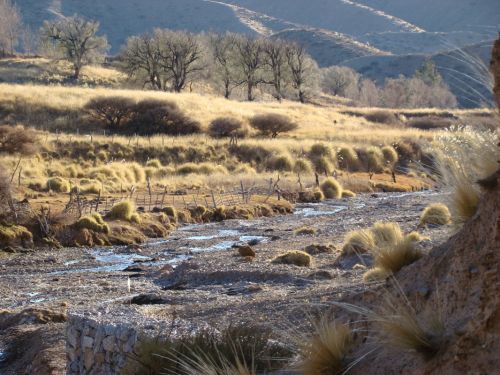 Fotografia de andrea - Galeria Fotografica: norte argentino - Foto: 