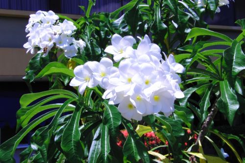 Fotografia de aperera60 - Galeria Fotografica: Bodegones - Foto: 