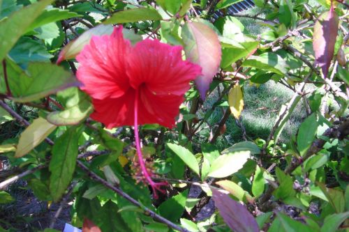 Fotografia de aperera60 - Galeria Fotografica: Bodegones - Foto: 