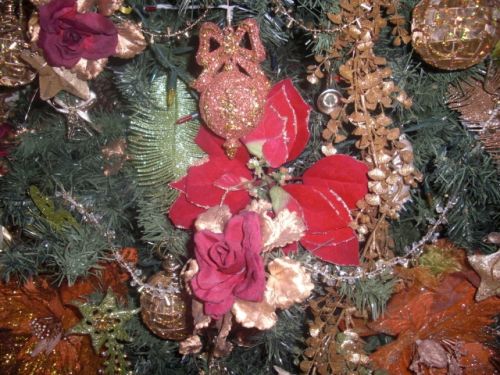 Fotografia de aperera60 - Galeria Fotografica: Bodegones - Foto: 