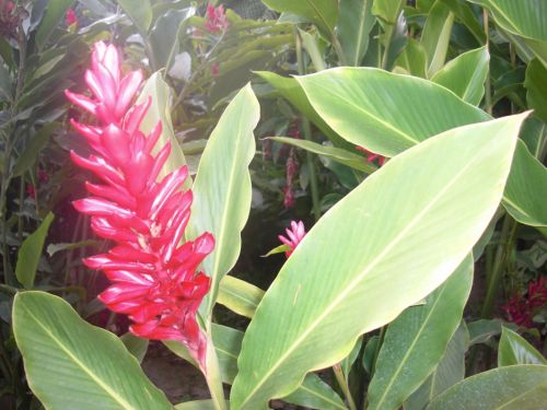 Fotografia de aperera60 - Galeria Fotografica: Bodegones - Foto: 