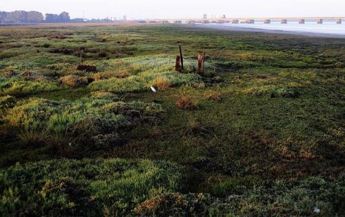 Fotografia de Juan Mara - Galeria Fotografica: algunas de mis fotos - Foto: 