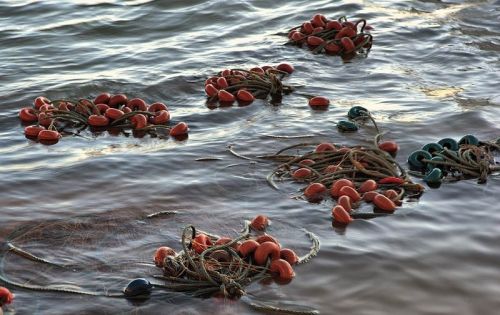 Fotografia de Juan Mara - Galeria Fotografica: algunas de mis fotos - Foto: 