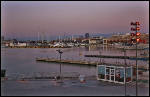Fotografia de lekeleke - Galeria Fotografica: FLORES - Foto: puerto de Valencia