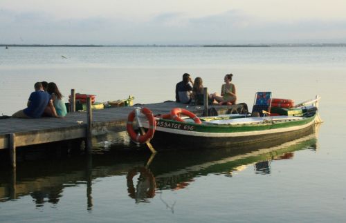 Fotografia de lekeleke - Galeria Fotografica: FLORES - Foto: 