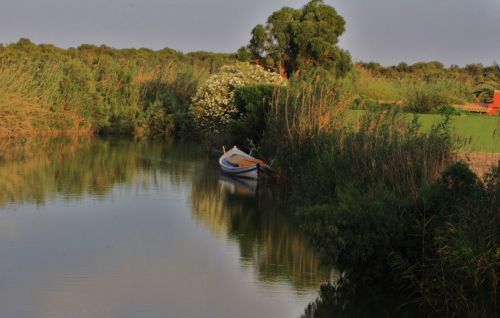 Fotografia de lekeleke - Galeria Fotografica: FLORES - Foto: 