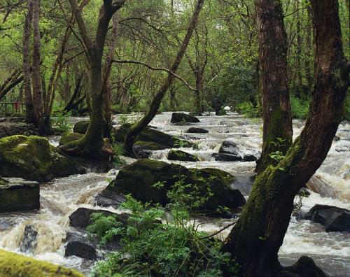 Fotografia de Rocamadour - Galeria Fotografica: El Mundo 2 - Foto: Verdes