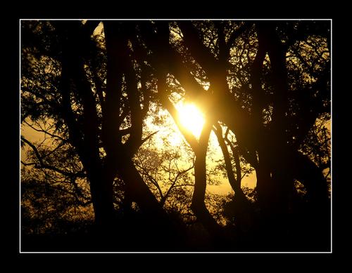 Fotografia de David - Galeria Fotografica: Natural - Foto: Atardecer