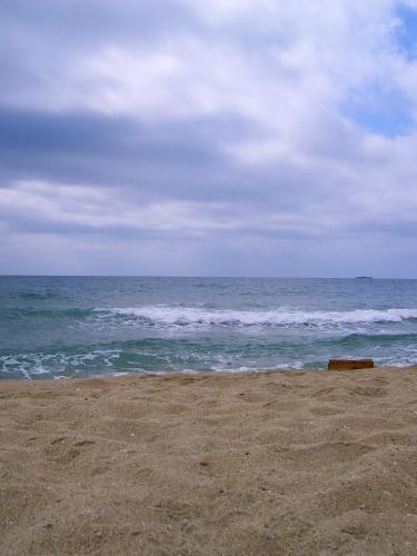 Fotografia de Gladys - Galeria Fotografica: Doce segundos de oscuridad - Foto: 