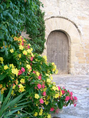 Fotografia de Gladys - Galeria Fotografica: Doce segundos de oscuridad - Foto: 