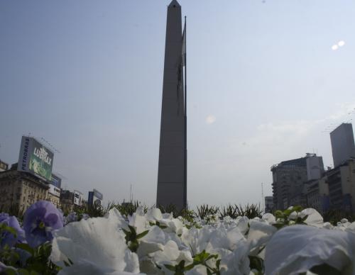 Fotografia de Dario - Galeria Fotografica: desde aca - Foto: flores y obelisco