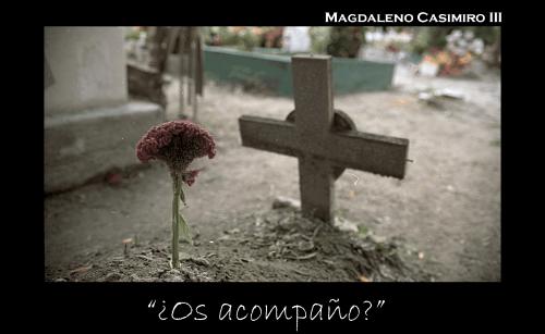 Fotografia de Leno - Galeria Fotografica: Experimentacion fotografica II - Foto: Os acompa�o							