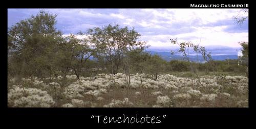 Fotografia de Leno - Galeria Fotografica: Experimentacion fotografica II - Foto: Tencholotes								