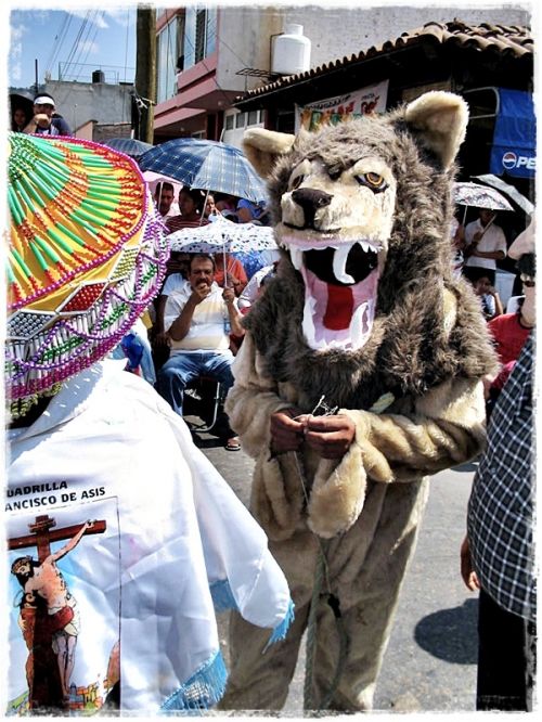 Fotografia de Darsan - Galeria Fotografica: Fiestas Josefinas - Foto: El le�n