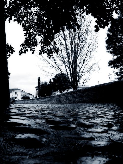 Fotografia de vlado - Galeria Fotografica: desde del sur - Foto: 