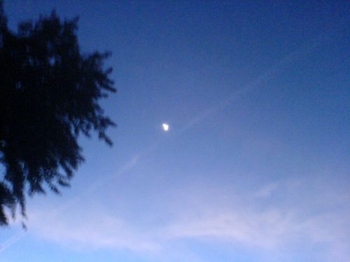 Fotografia de FRANCIS HERNANDEZ - Galeria Fotografica: MI AMANECER - Foto: 