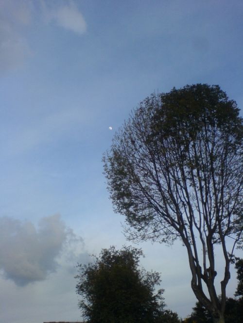 Fotografia de FRANCIS HERNANDEZ - Galeria Fotografica: MI AMANECER - Foto: 