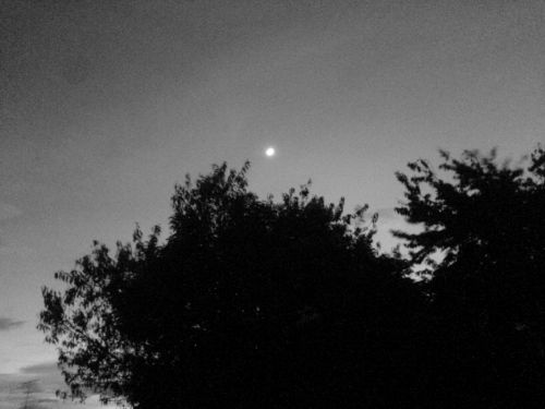 Fotografia de FRANCIS HERNANDEZ - Galeria Fotografica: MI AMANECER - Foto: 