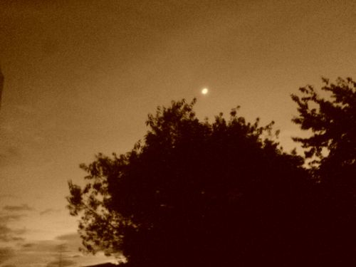 Fotografia de FRANCIS HERNANDEZ - Galeria Fotografica: MI AMANECER - Foto: 