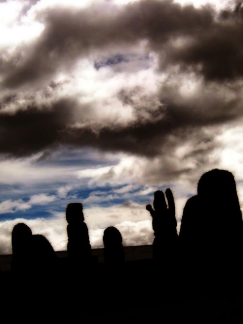 Fotografia de vlado - Galeria Fotografica: desde del sur - Foto: 