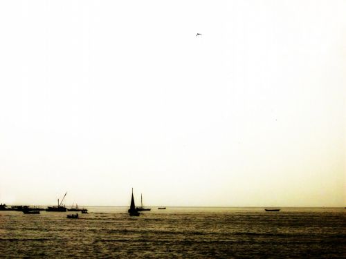 Fotografia de vlado - Galeria Fotografica: desde del sur - Foto: 