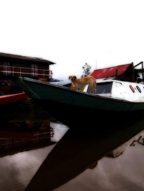 Fotografia de vlado - Galeria Fotografica: desde del sur - Foto: 