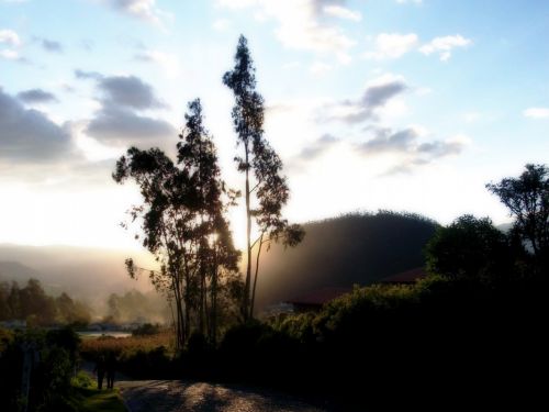 Fotografia de vlado - Galeria Fotografica: desde del sur - Foto: 