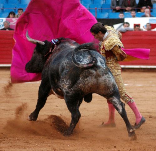 Fotografia de Ernesto Ortiz Fotgrafo - Galeria Fotografica: imagenes taurinas - Foto: 