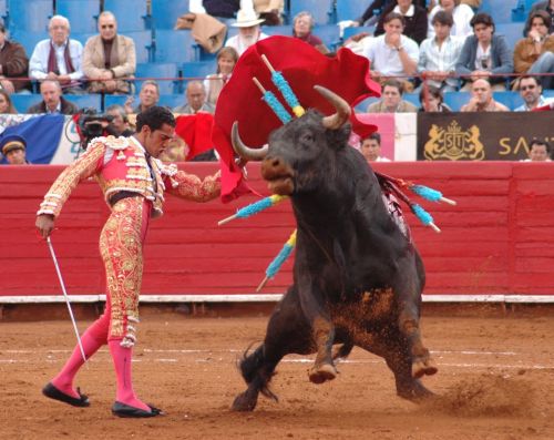 Fotografia de Ernesto Ortiz Fotgrafo - Galeria Fotografica: imagenes taurinas - Foto: 