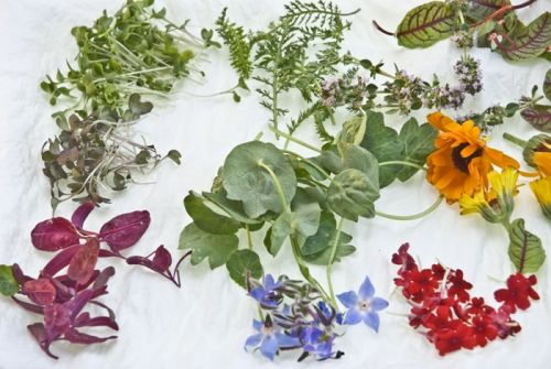 Fotografia de Nany da Costa - Galeria Fotografica: Restaurante Arriaga - Foto: 