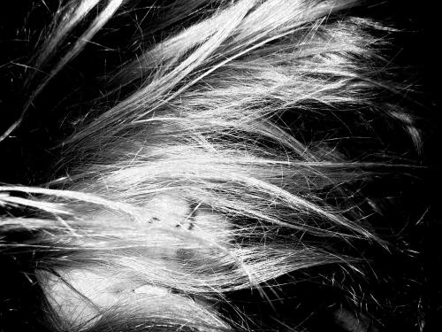 Fotografia de Ingrid Sof - Galeria Fotografica: Autoretrato - Foto: 