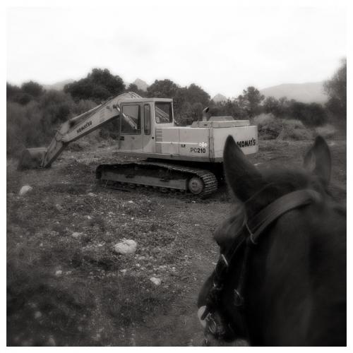 Fotografia de Pep Torro - Galeria Fotografica: Blanco y Negro - Foto: Foravila