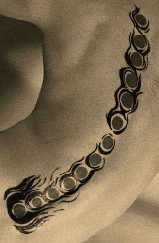 Fotografia de GIANNI - Galeria Fotografica: de la serie ``LAS PARTES DEL TODO�� - Foto: S/T