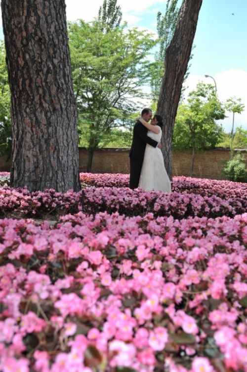 Fotografia de Jesus Maria Izquierdo De Diego - Galeria Fotografica: TARDE DE BODA - Foto: 