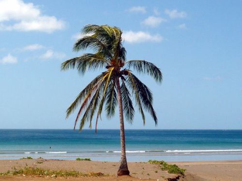 Fotografia de Osvaldo Urriola - Galeria Fotografica: Playas Panam - Foto: 