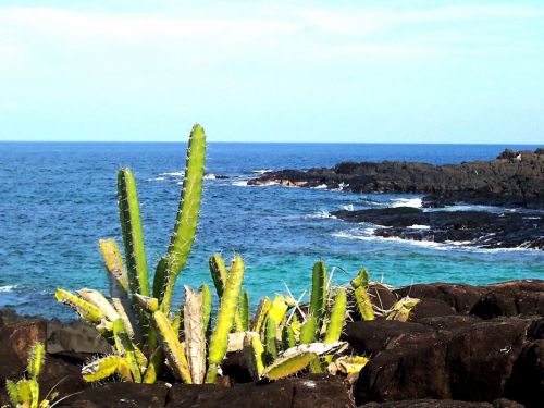 Fotografia de Osvaldo Urriola - Galeria Fotografica: Playas Panam - Foto: 