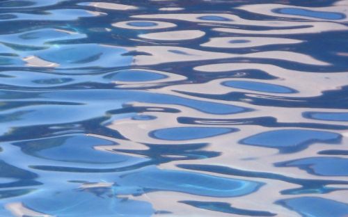 Fotografia de f.lleonart - Galeria Fotografica: Temes variats - Foto: 