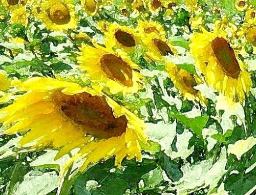 Fotografia de f.lleonart - Galeria Fotografica: Temes variats - Foto: 