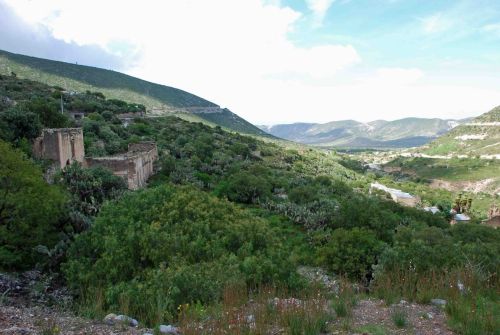 Fotografia de Carlos - Galeria Fotografica: Parques y paseos SLP - Foto: Real de Catorce