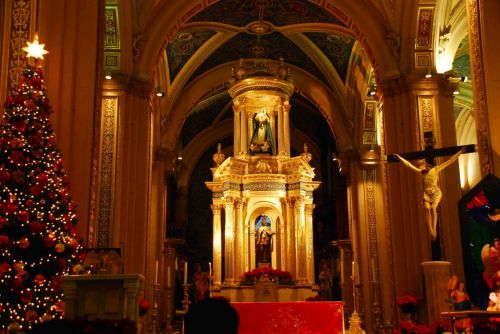 Fotografia de Carlos - Galeria Fotografica: Paseo por la Ciudad - Foto: Catedral