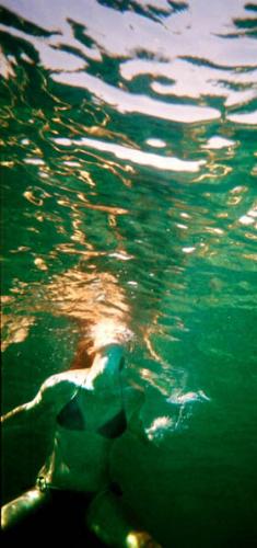 Fotografia de bal - Galeria Fotografica: submarina - Foto: 