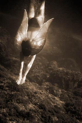 Fotografia de bal - Galeria Fotografica: submarina - Foto: 