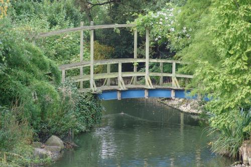 Fotografia de FOTOMAHE - Galeria Fotografica: Recuerdos - Foto: Monet?