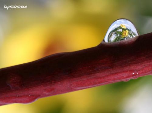 Fotografia de Benjamin Probanza - Galeria Fotografica: SUEOS - Foto: LA BOLA DE CRISTAL