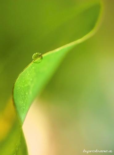 Fotografia de Benjamin Probanza - Galeria Fotografica: SUEOS - Foto: ONDA