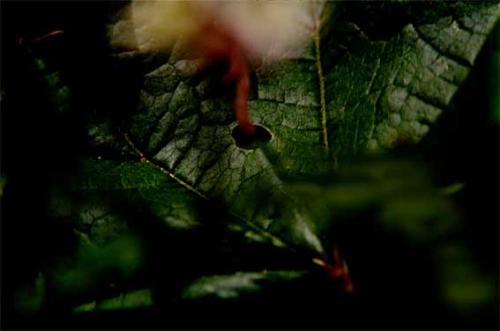 Fotografia de gsuss - Galeria Fotografica: asuntos propios - Foto: agujero negro fagocitador