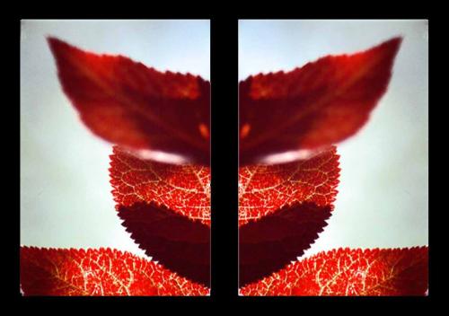 Fotografia de gsuss - Galeria Fotografica: asuntos propios - Foto: las las de los expulsados