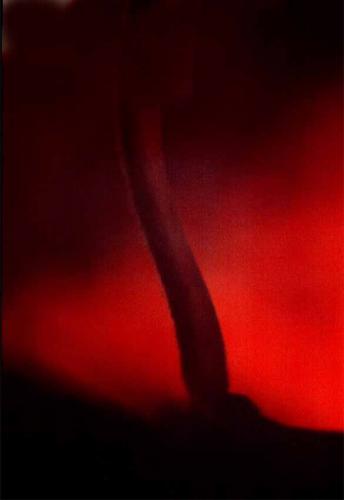 Fotografia de gsuss - Galeria Fotografica: asuntos propios - Foto: tornado